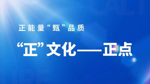 行业之光 正 文化 正点承诺,优质服务准时到位