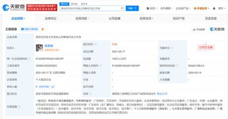 袁姗姗名下影视文化工作室注销