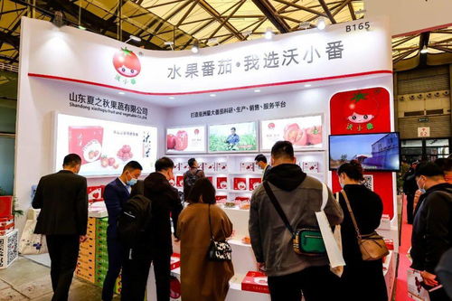 斥资1.06亿元打造全国首家番茄文化产业园,让更多人吃到绿色健康的番茄食品
