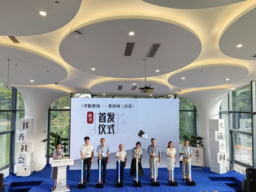 打造文化运营业态 平阳开启公共文化服务社会化运营新模式