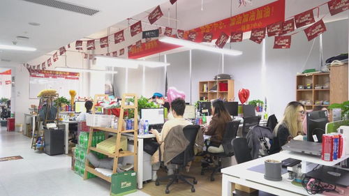 从进博会到 双十一 线上线下消费齐发力