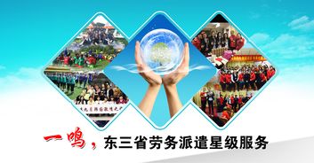 阜新社保代理 免费咨询