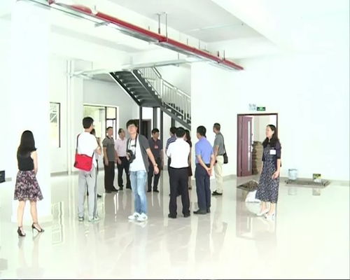 中山市人大常委会督查沙溪 公共文化服务保障法 落实情况