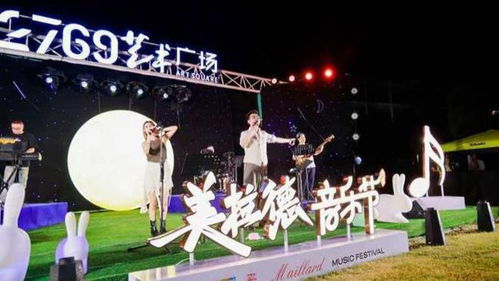 公共文化服务贴近年轻人,首届 美拉德音乐节 燃爆浦东
