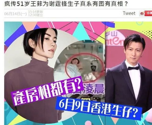 王菲谢霆锋中秋晚会将同台 王菲献唱主题曲,谢霆锋是主持人
