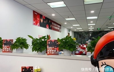 都很拼,伯远经纪人结婚还在拉票,哇唧花式应援口号好土